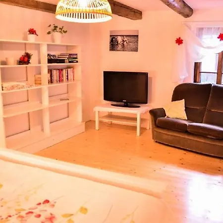 Apartment Apartman U Rybnika